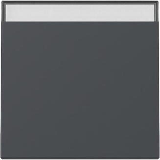 Gira, Zubehör Schalterprogramm, Wippe