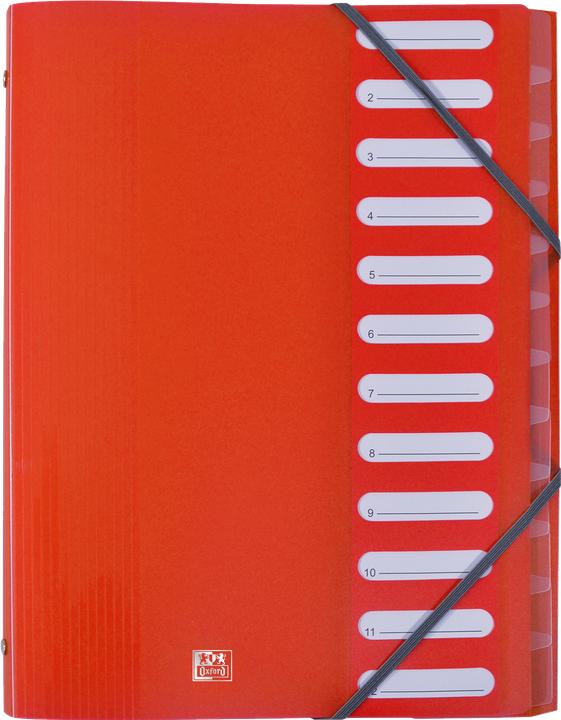Image du produit Elba Classeur " School Life", 12 compartiments, DIN A4, PP intercalaires transparents, élastiques d'angle (A4, 1x)