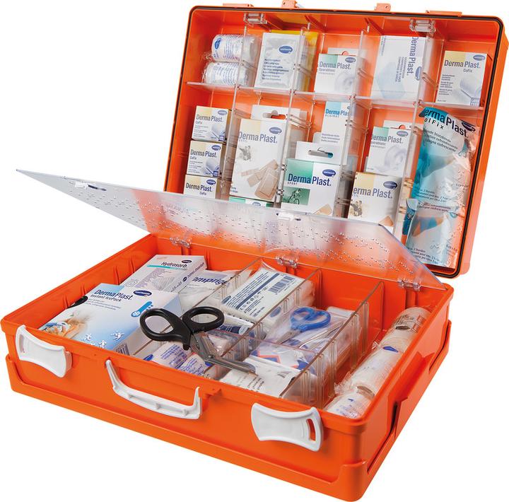 Actual product image DermaPlast Vario 3 company pharmacy (First aid box)