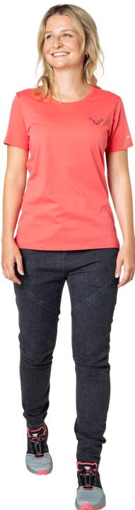 Actual product image Dynafit 24/7 Graphic T-Shirt (L)