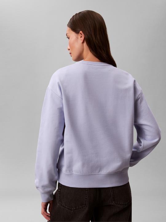 Actual product image Calvin Klein Jeans Ls Monologo French Terry Rlxd Cr (L)