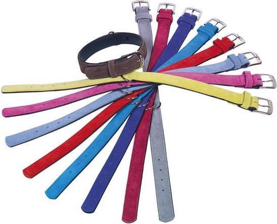 Produktbild Nobby Halsband Velours (M, Hund, Allgemein)