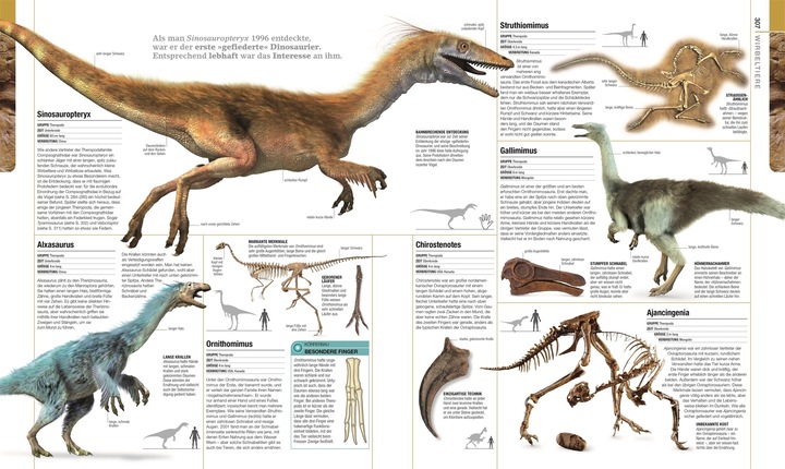 Actual product image Dinosaurier und andere Lebewesen der Urzeit (German, Stephan Matthiesen, Kim Dennis-Bryan, Eva Sixt, Dr Andrea Kamphuis, Douglas Palmer, 2020)