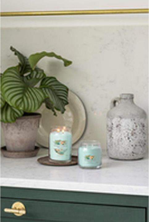 Actual product image Yankee Candle Aloe & Agave
