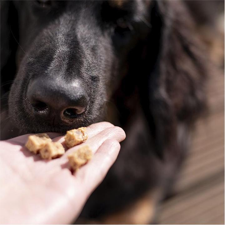 Produktbild Sollis Mini-Fleischwürfel Kaninchen 100g (Adult, 100 g)