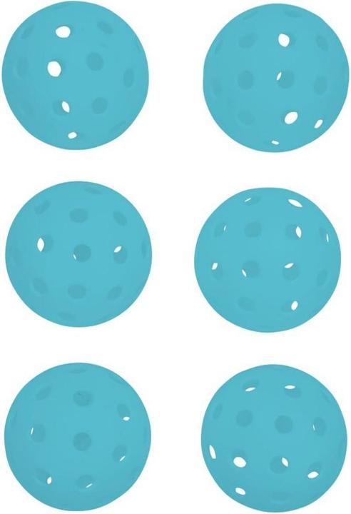 Actual product image Pure Pickleball set of 6