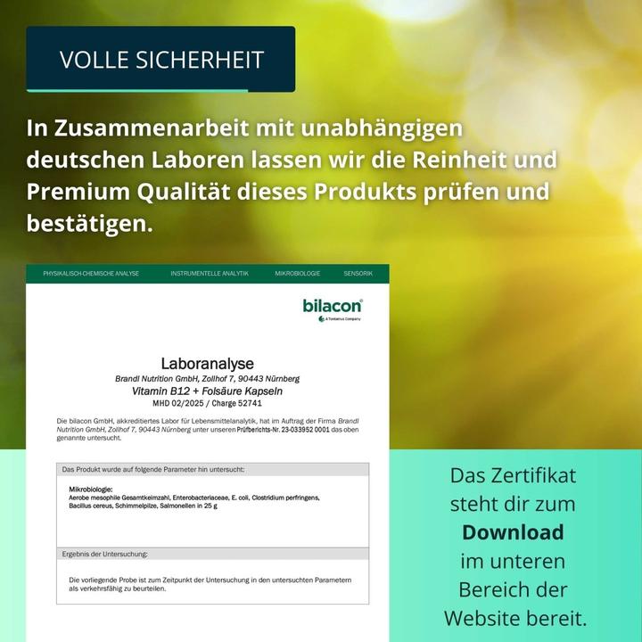 Image du produit Brandl-Nutrition Vitamine B12 Acide folique (1 pièce(s), Capsules, 45 g)