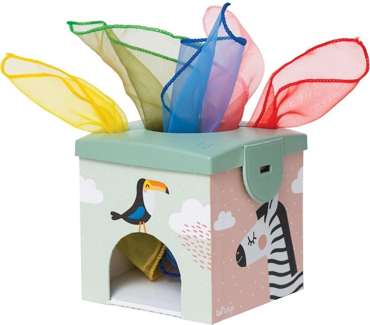 Taf Toys Jouet dactivits Magic Box