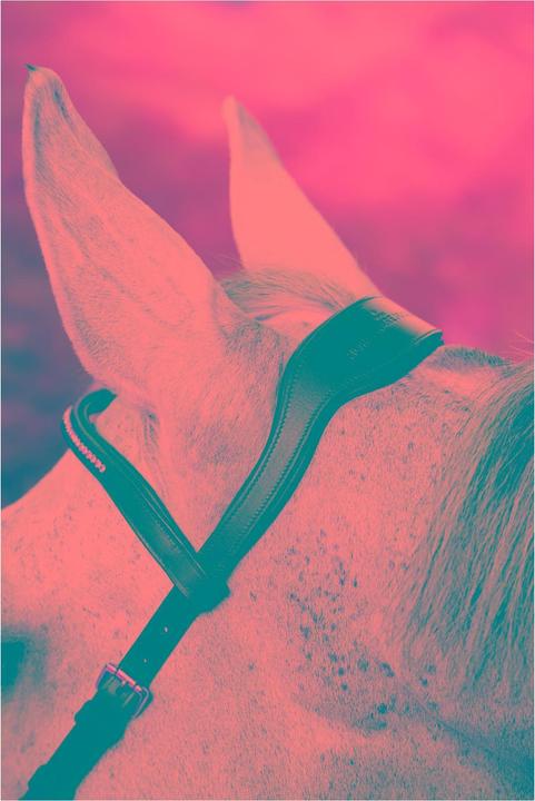 Image du produit Horseware Zaum Micklem Diamante