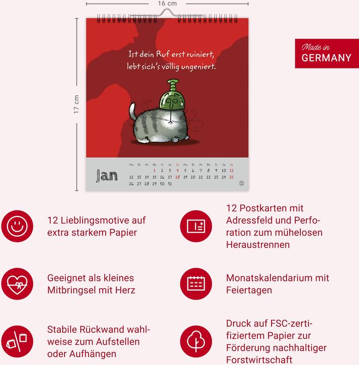 Produktbild Catzz Postkartenkalender 2026 (Postkartenformat)