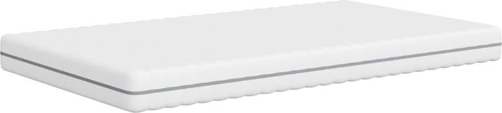 Actual product image vidaXL Schaumstoffmatratze (Foam core, 100 x 200 cm)