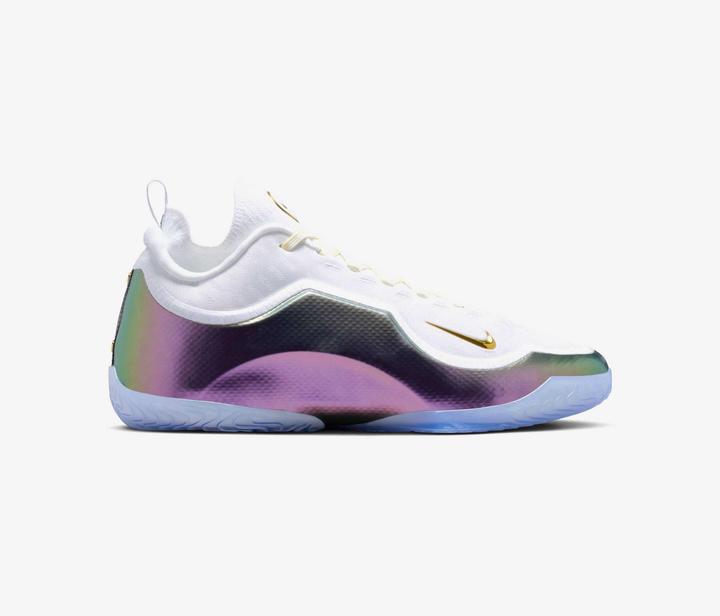 Actual product image Nike LeBron 23 Elite For The Record (44.5)