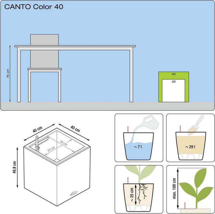 Actual product image Lechuza Canto (40 cm)