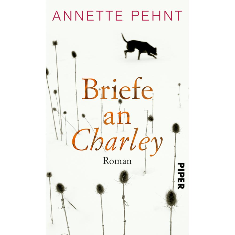 Briefe an Charley, Belletristik von Annette Pehnt