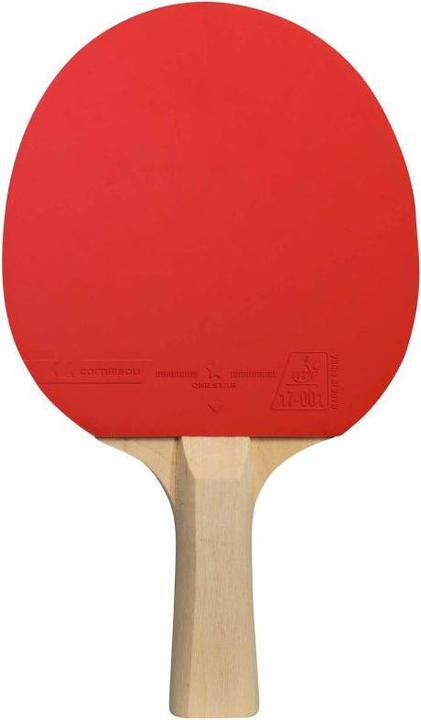 Actual product image Cornilleau Pack the indoor table tennis set