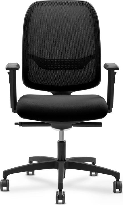 Produktbild Giroflex 300 online