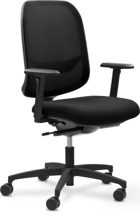 Produktbild Giroflex 300 online