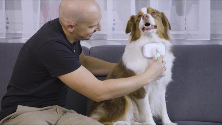Produktbild MediaShop Tierhaarbürste (Hund, Katze)