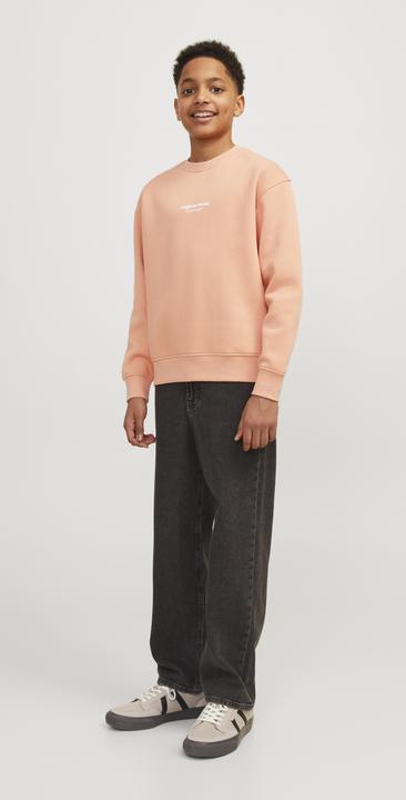 Produktbild Jack & Jones Jorvesterbro Sweat Crew Neck Bn Mni (122)