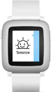 Actual product image Pebble Time (47.10 mm)