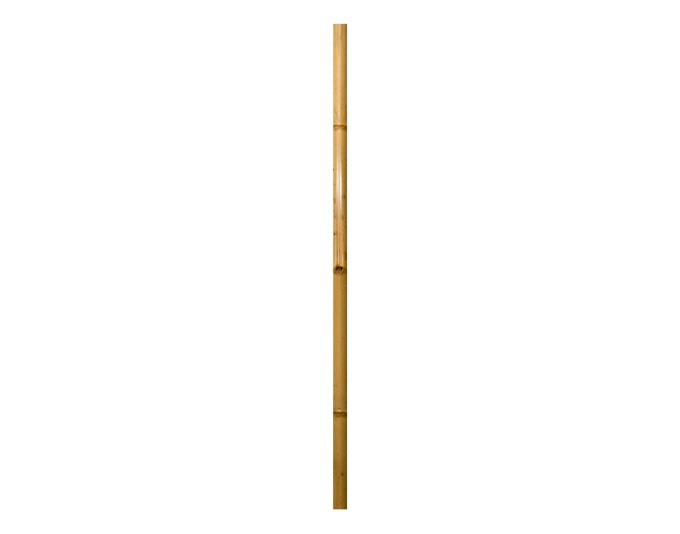 Windhager Bambus-Rohr