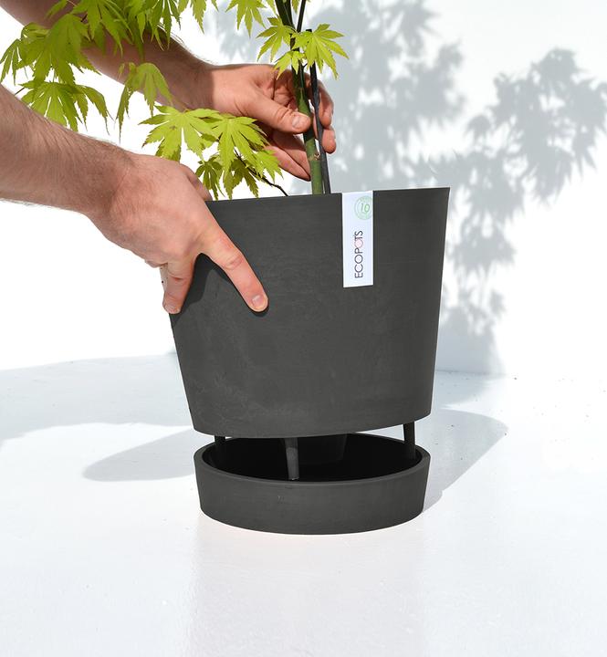 Produktbild Ecopots Venice (30 cm)
