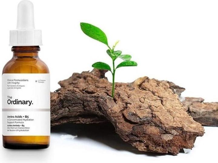 Actual product image The Ordinary Amino Acids Vitamin B5 (30 ml)