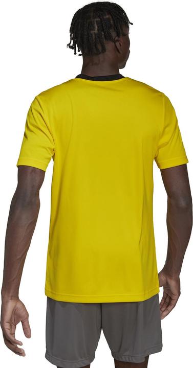Produktbild adidas Entrada 22 Fussballtrikot Herren (XL)