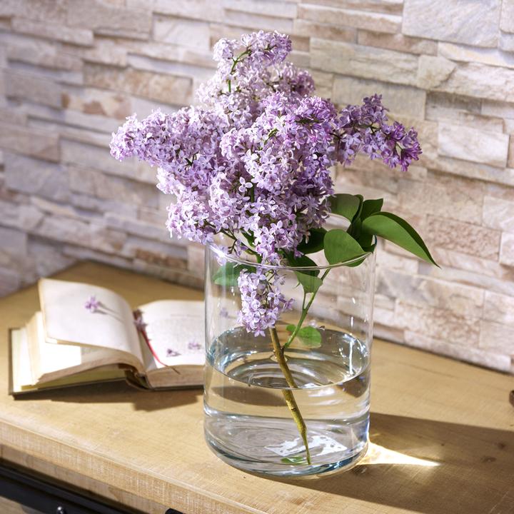 Produktbild Viana Vase