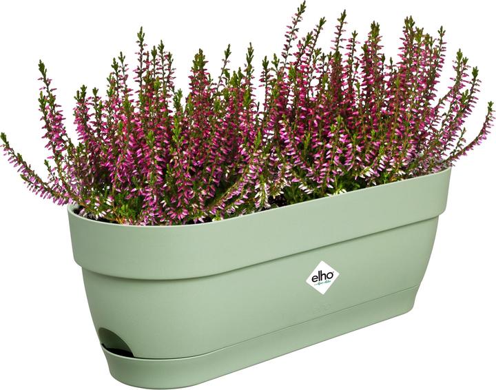 Produktbild Elho Vibia Campana (18 cm)