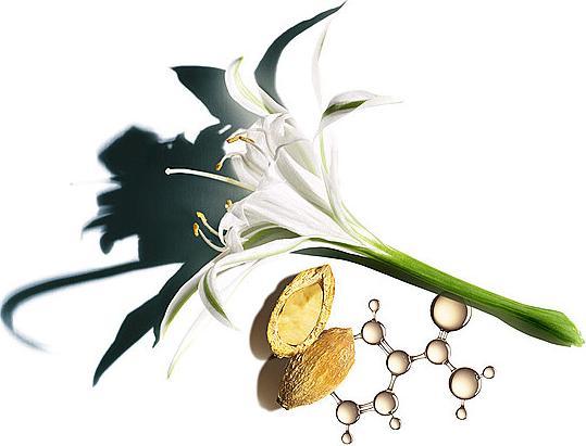 Actual product image Clarins Nutri-Lumière SPF 15 Toutes Peaux (50 ml, Day cream, SPF 15)