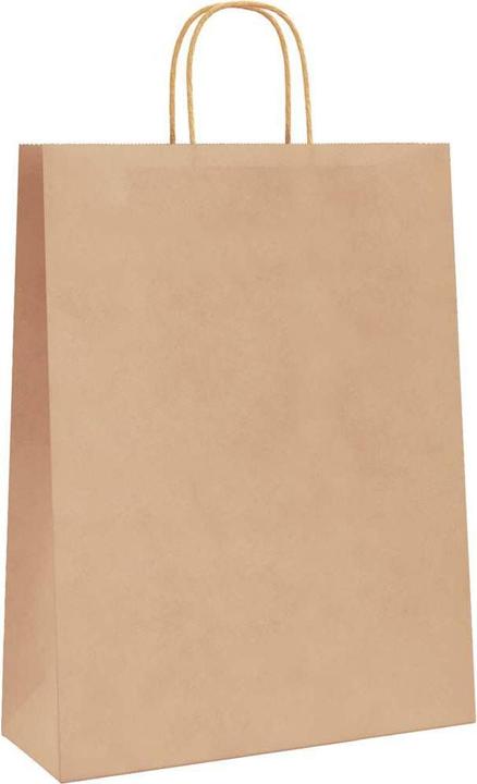 Actual product image vidaXL Papiertragetasche (50 pcs.)