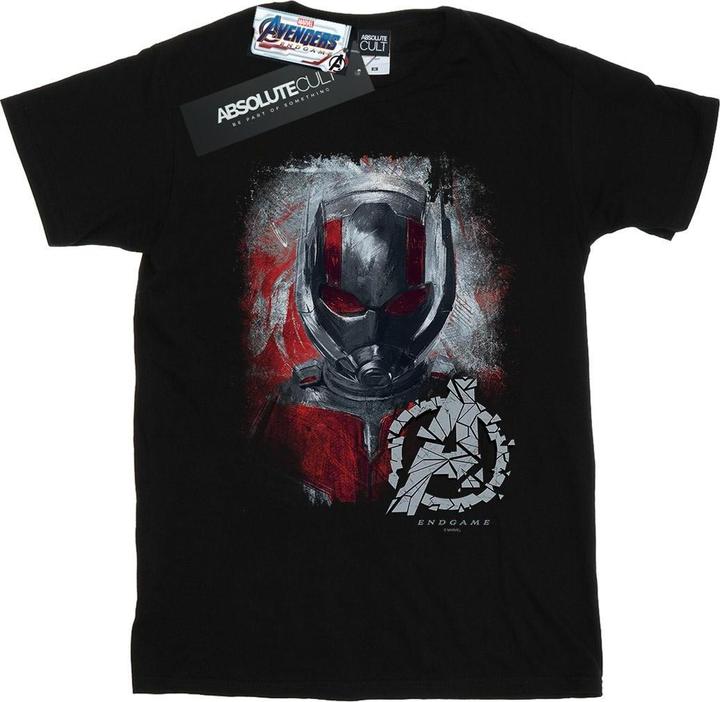 Produktbild Jungen Avengers Endgame AntMan gebürstetes TShirt (140, 146)
