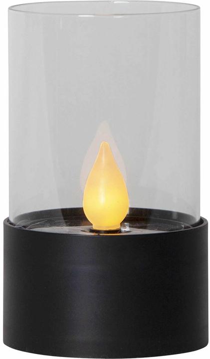 Star Trading Puloun (1x)