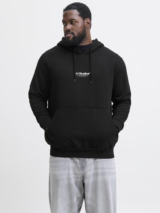 Produktbild Jack & Jones Jjesoho Sweat Hood Noos Pls