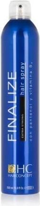 Immagine prodotto Hairconcept H.C. Finalze Spray per capelli Tenuta Extra Forte 500ml (500 ml)