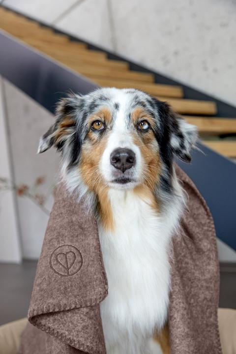Image du produit Palopa Couverture pour chien