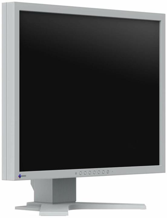 Actual product image Eizo S2134 FlexScan (1600 x 1200 pixels, 21.30")