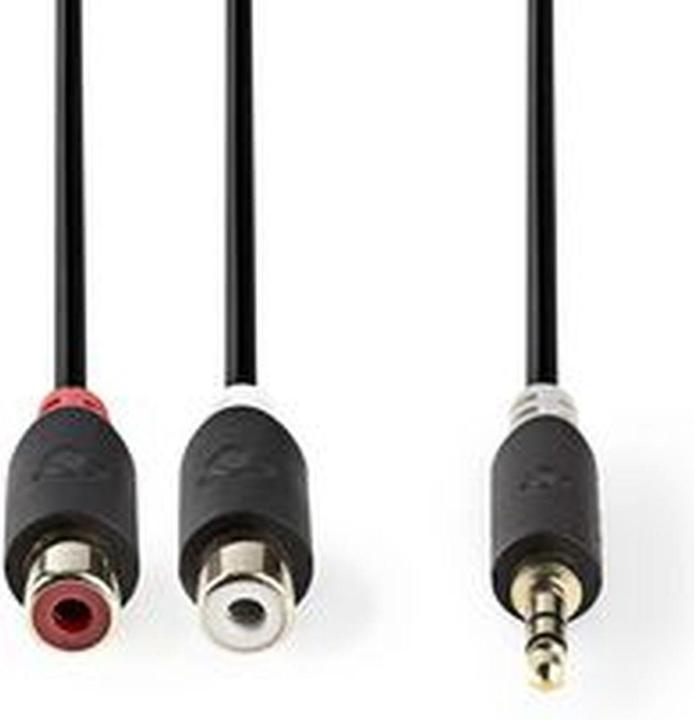 Actual product image Nedis Audio cable stereo Mach or 3.5 mm - 2 x RCA Hemb (0.20 m, Cinch Cables)