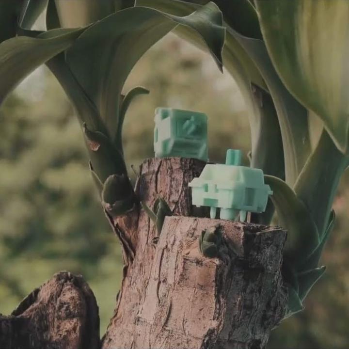 Actual product image Akko Botany Switch, mechanical, 5-pin, linear, MX-Stem, 38g - 45 pieces