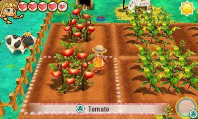 Produktbild Nintendo Story of Seasons: Trio of Towns (3DS)