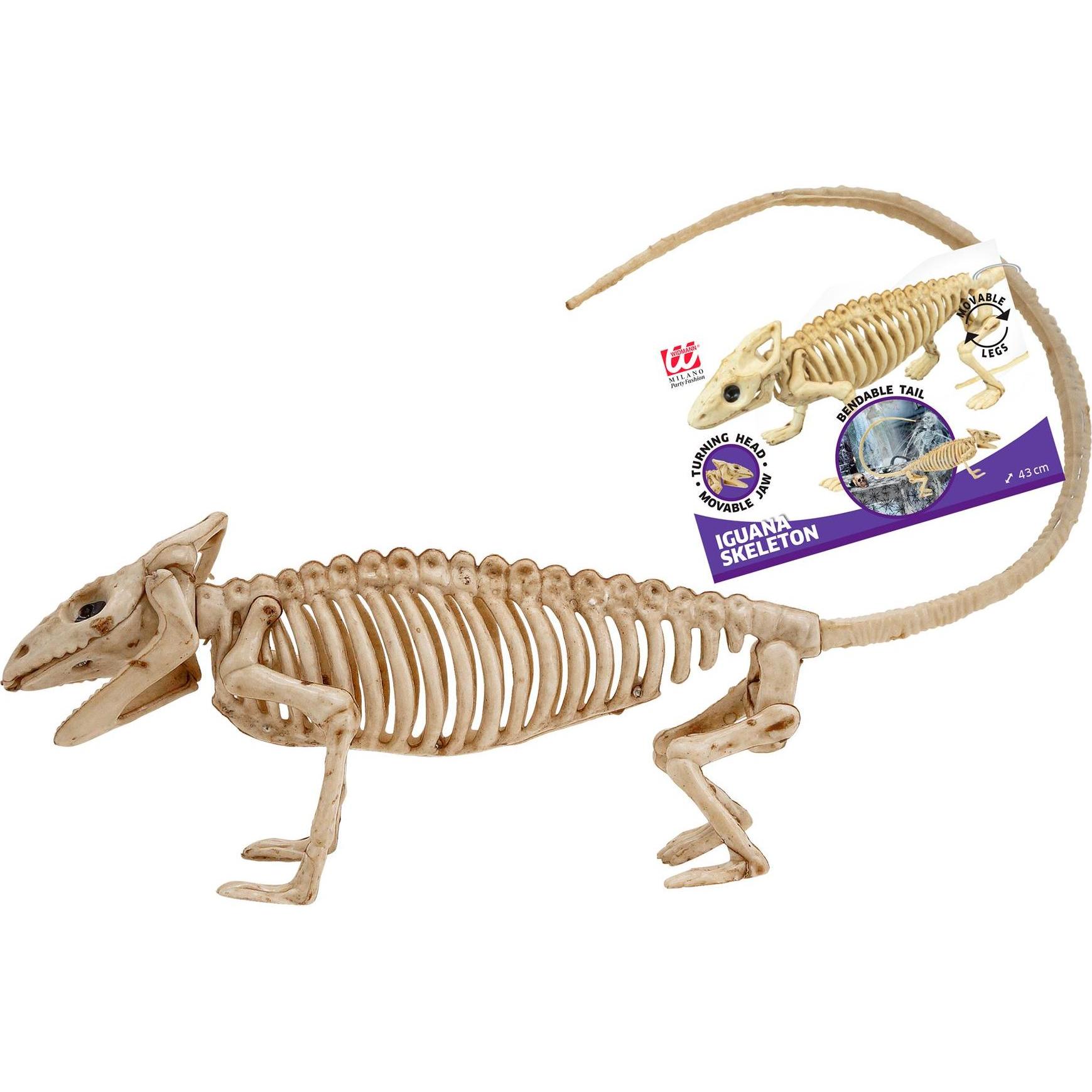 Thumbnail - Widmann LEGUAN SKELETT 43 cm