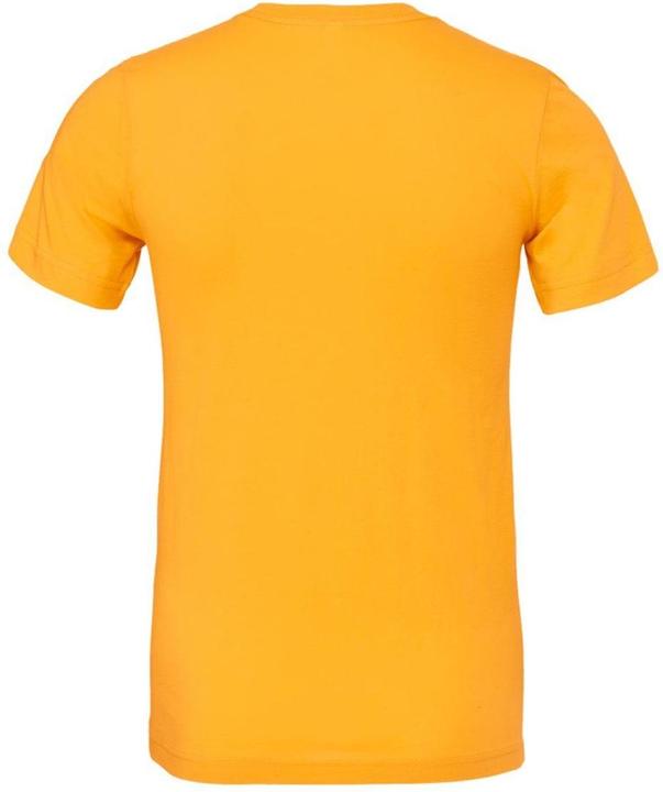 Actual product image Bella Canvas Jersey Tee (XXL)