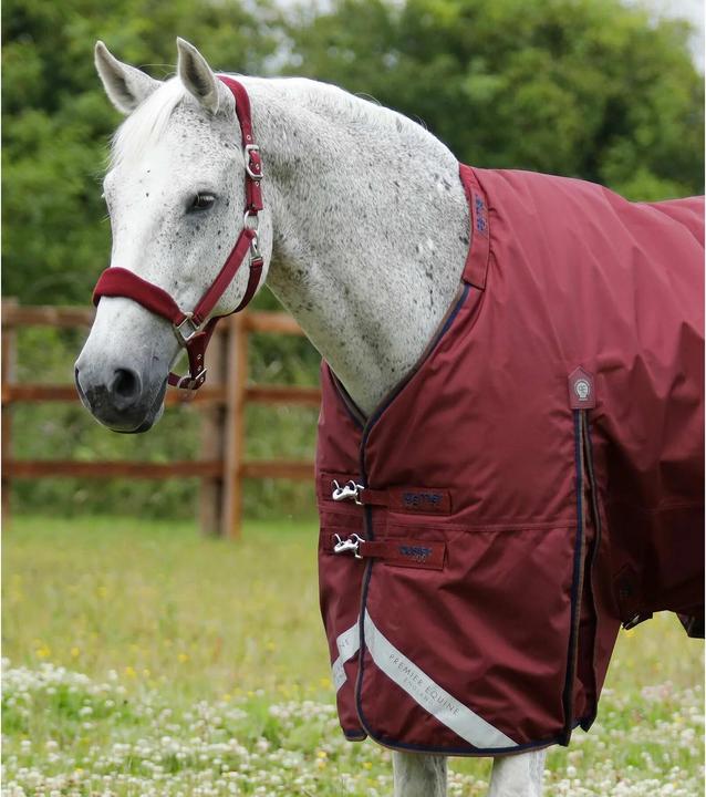 Image du produit Premier Equine Buster 400 g