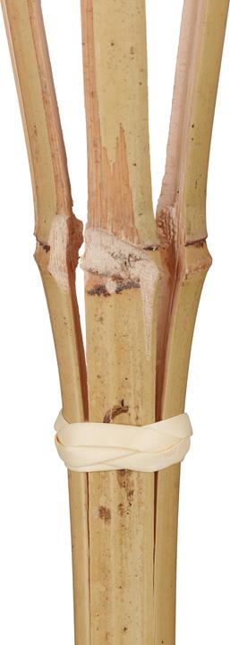 Actual product image Relaxdays 10x Garden Torch