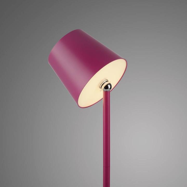 Actual product image Just Light LED bottle light (320 lm)