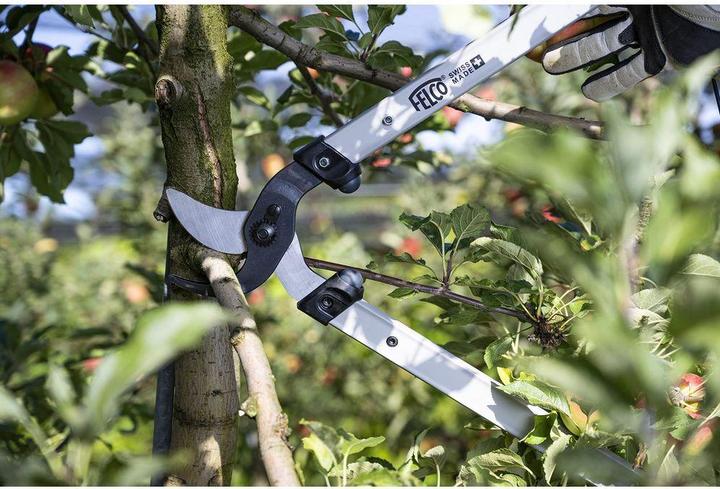 Produktbild Felco 221-80 Zweihand-Astschere, 80 cm