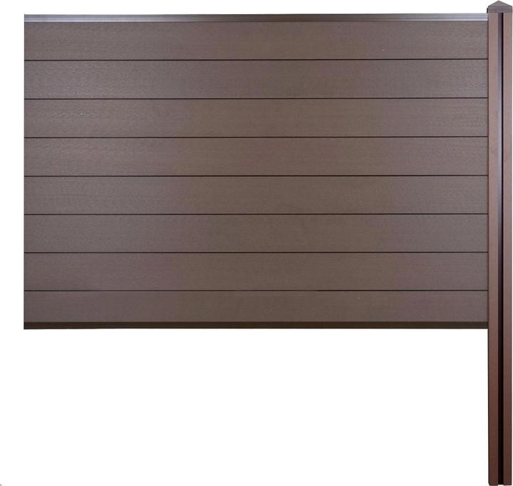 Braun