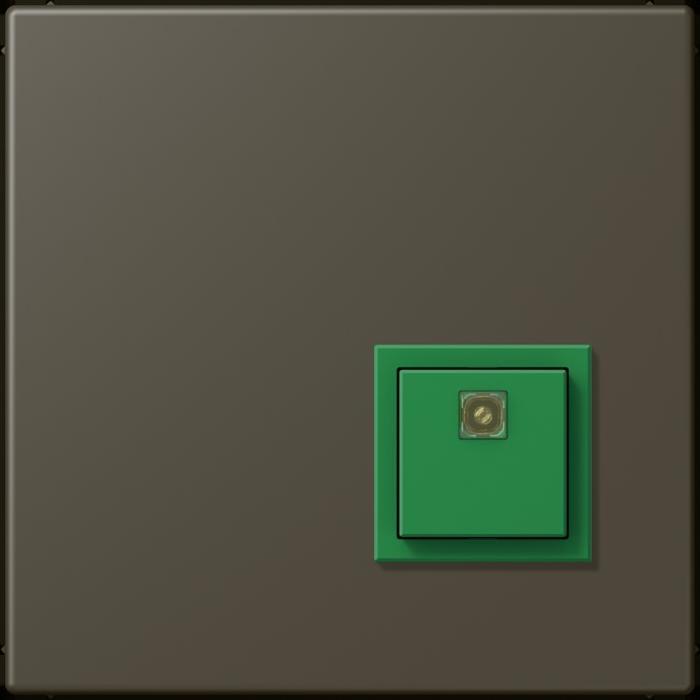 Actual product image JUNG Switch-off button