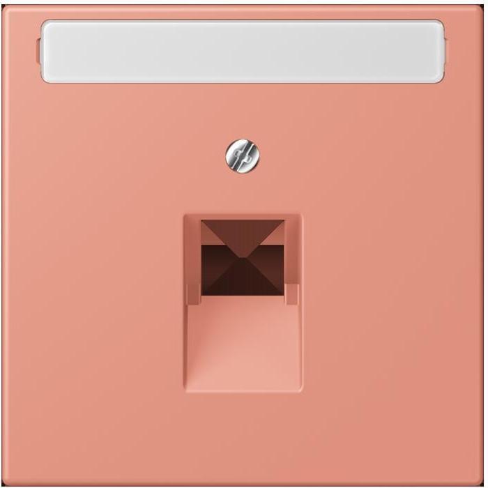 Actual product image JUNG Cover